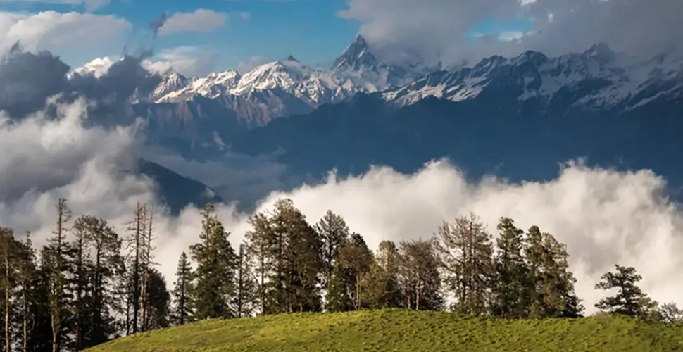 Mowgli Camp, Chakrata, Uttarakhand