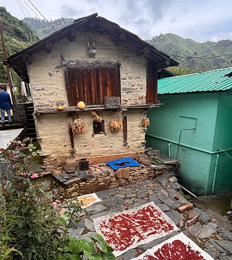 Mowgli Camp, Chakrata, Uttarakhandsss