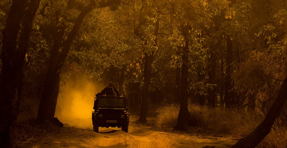 kanha, Madhya Pradesh, Mowgli Camp