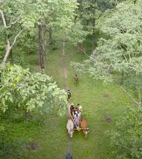 Pench, Madhya Pradesh, Mowgli Camp