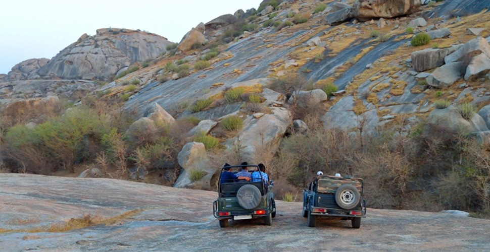 Mowgli Camp, Jawai, Udaipur , Rajasthan
